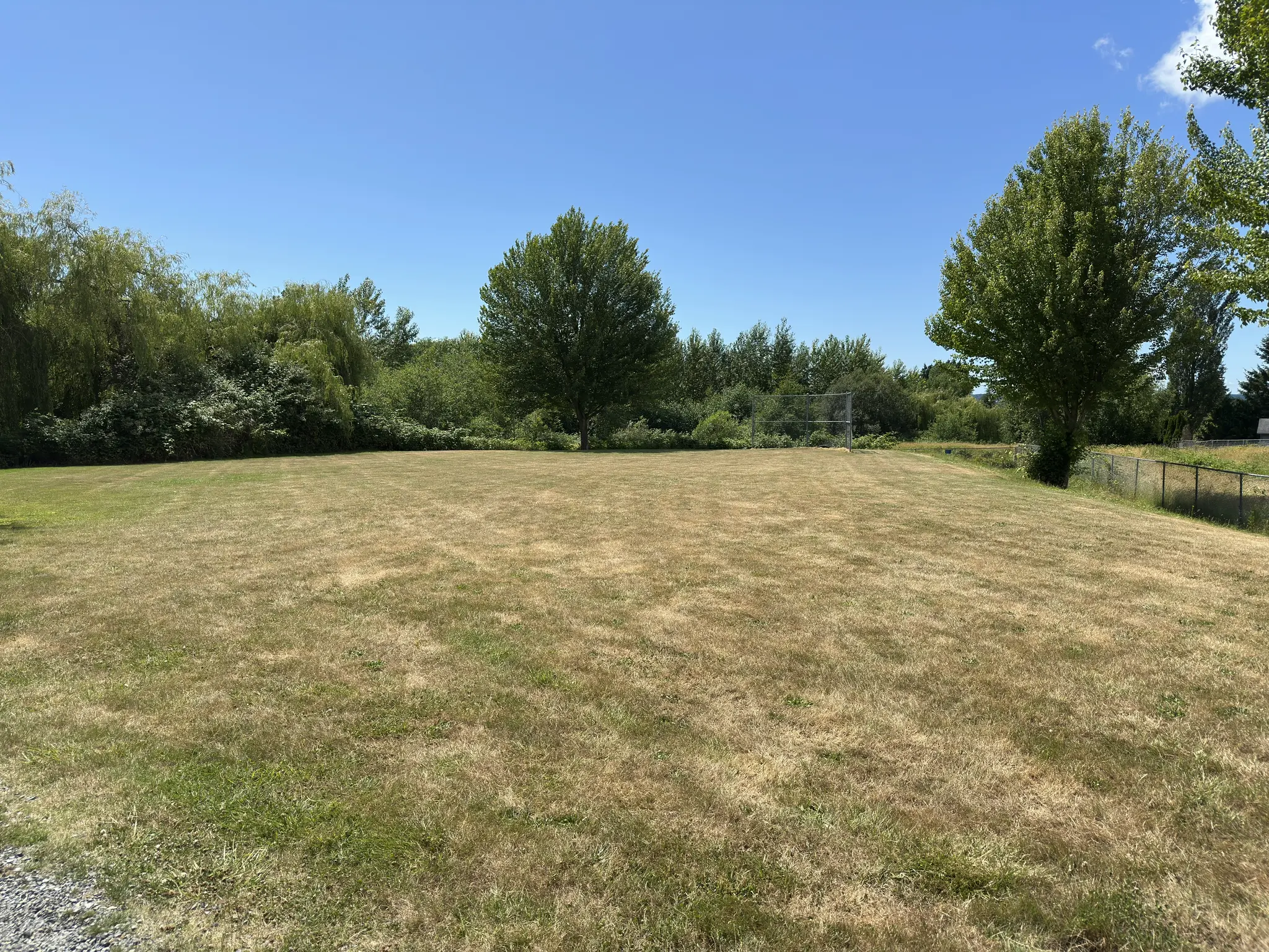 Open field surrounded by trees